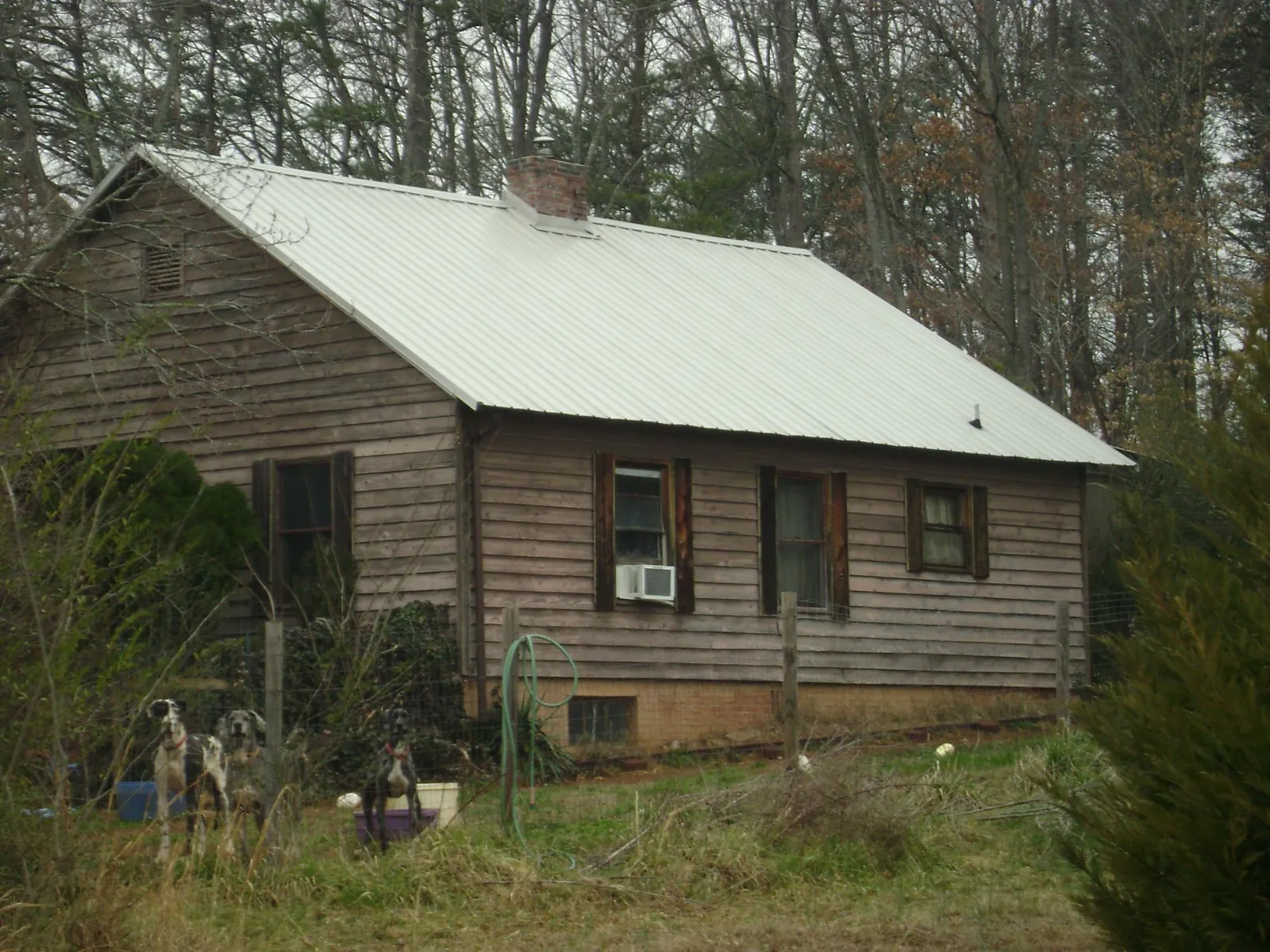 White metal roof on an old wood sided farmhouse, from a Asphalt Shingle Roof Repair job in Livonia